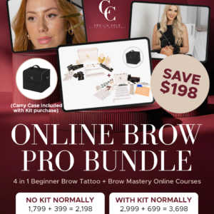 Online BROW PRO Bundle - 4 in 1 Brows + Brow Mastery Online Course